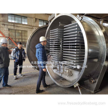 Batch Freeze Drying Plant